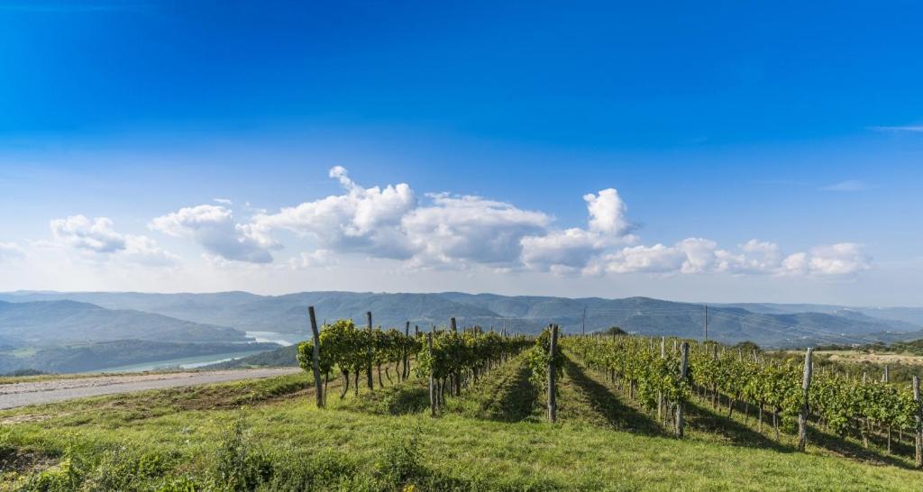 Villa Franka 113 Bašanija Екстериор снимка